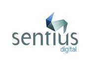 Sentius Strategy - Best Web Marketing Consultant image 1